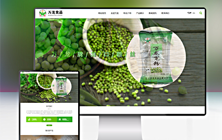 山東萬龍食品網(wǎng)站建設(shè)