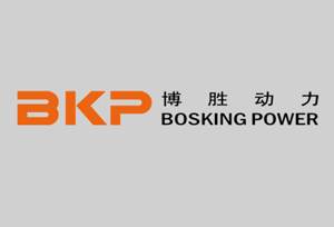 博勝動力網(wǎng)站建設(shè)